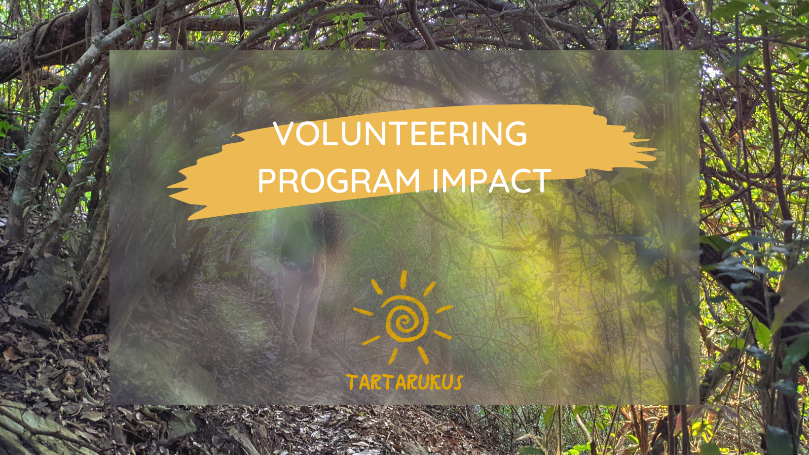 impacto del programa de voluntariado en mexico