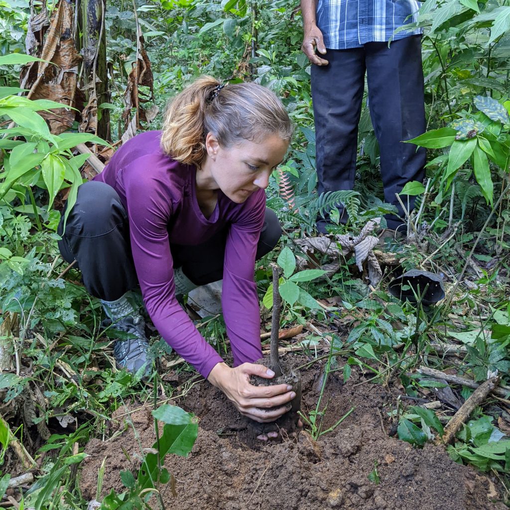 tree planting as a part of the tour in the jungle, Oaxaca coast